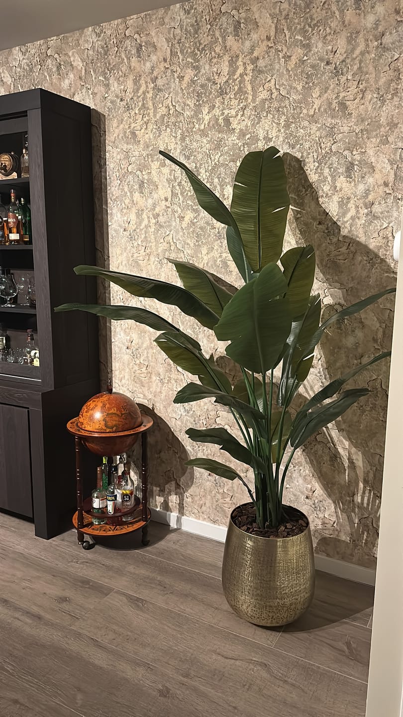 Customer photo review of Strelitzia Kunstplant 180cm Deluxe