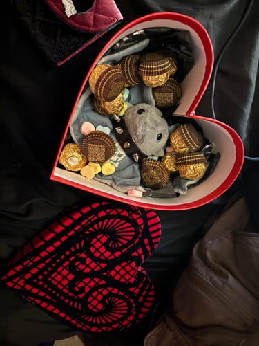 Customer photo review of PUNK BAT PLUSHIES
