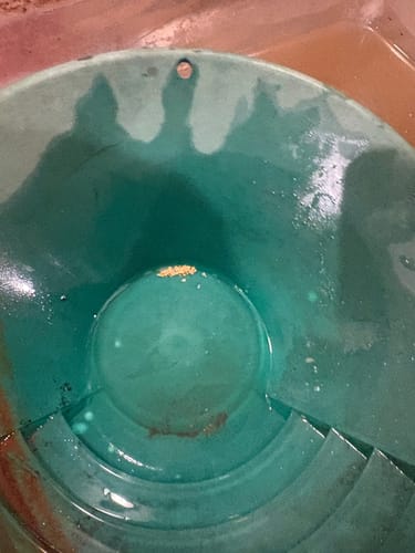 Customer photo review of Nugget Reserve '10 OUNCE MOTHERLODE BONANZA' - Gold Panning Paydirt