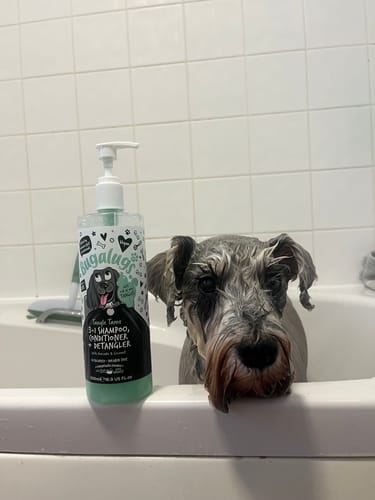 Customer photo review of 3 in 1 Tangle Tame Dog Shampoo, Conditioner & Detangler