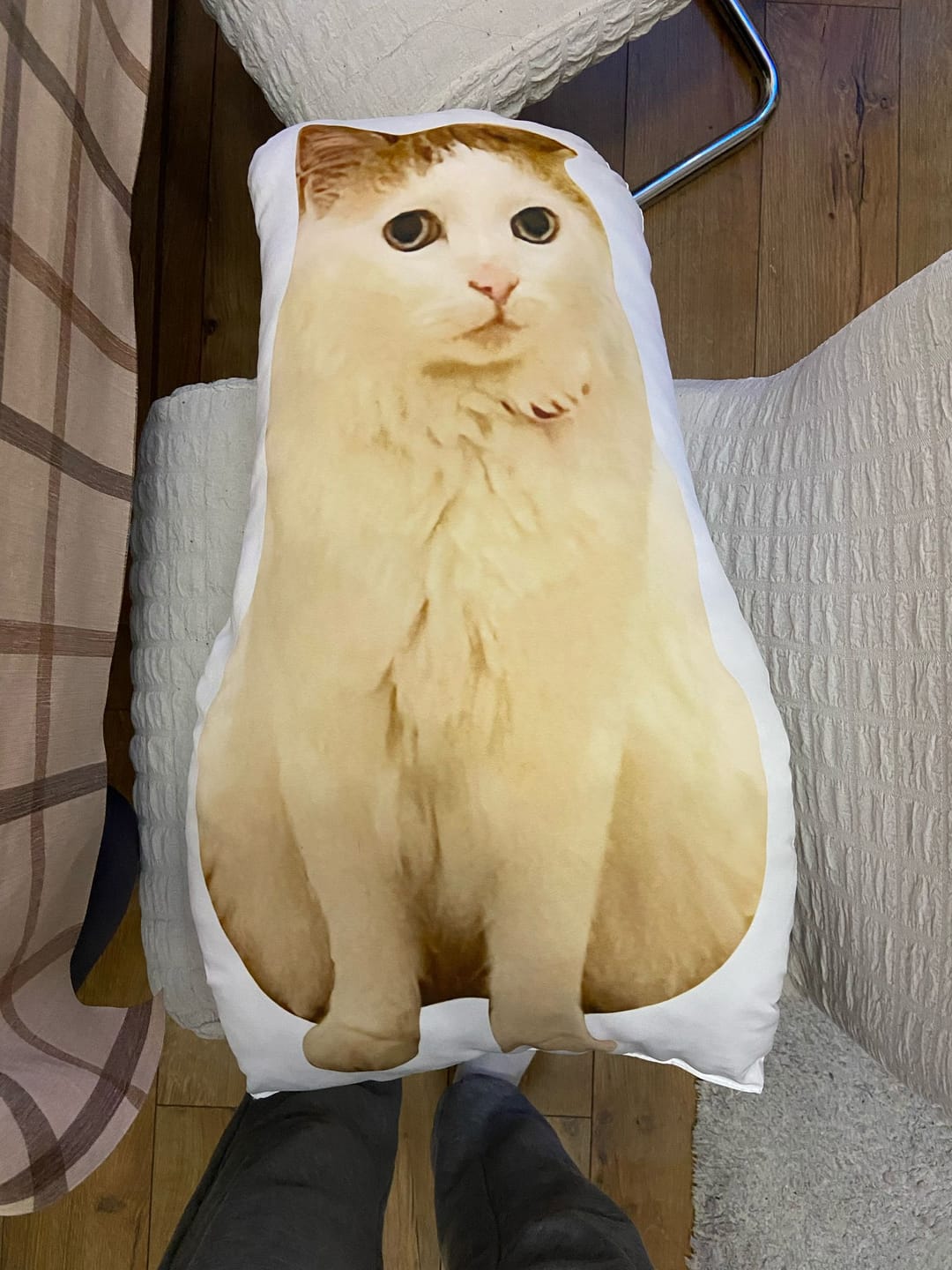 Customer photo review of Персонализирана Котешки Възглавница