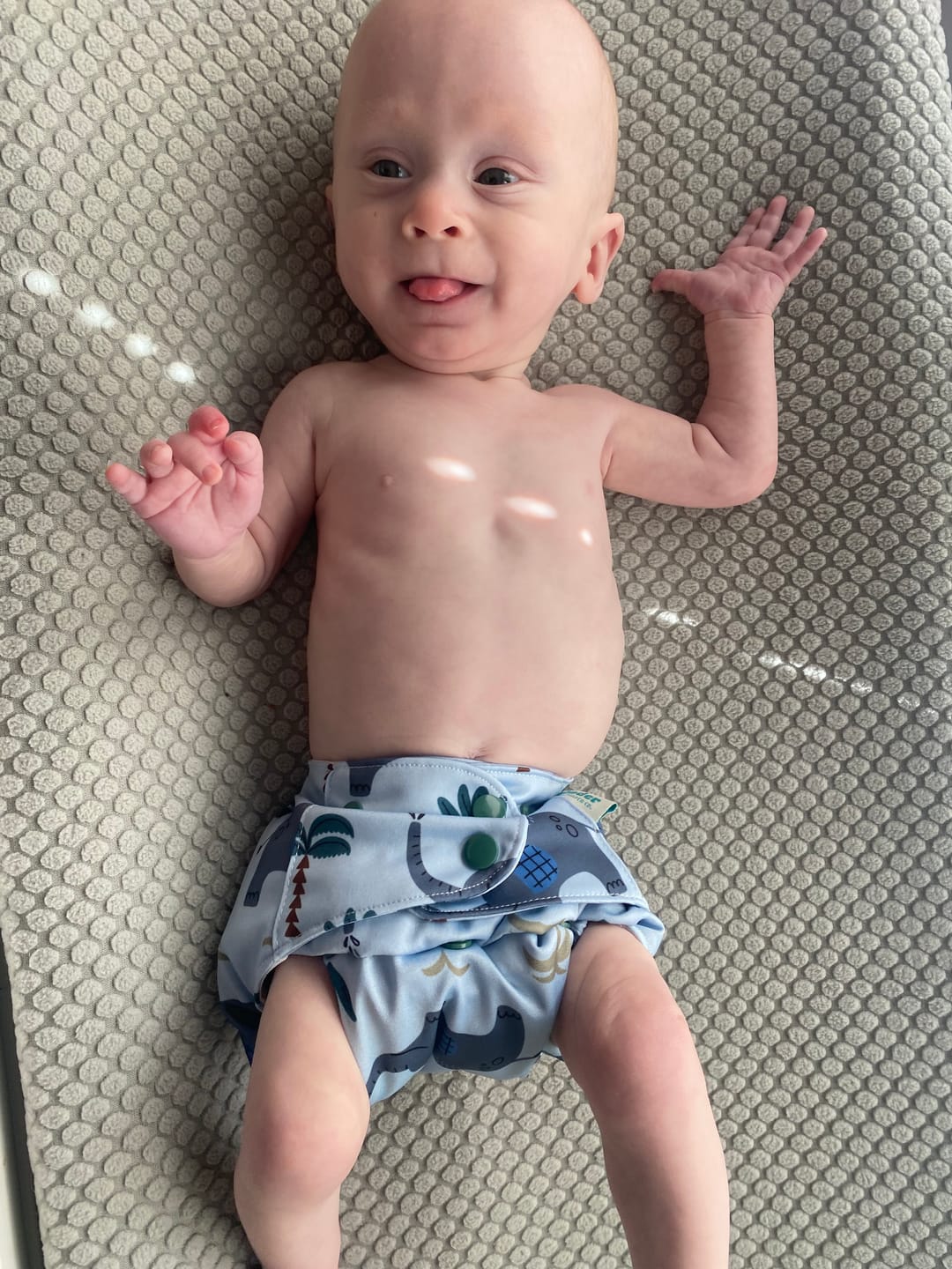 Customer photo review of Animals and Insects: Essentials Pocket Cloth Diaper with Athletic Wicking Jersey, Grows with your Baby