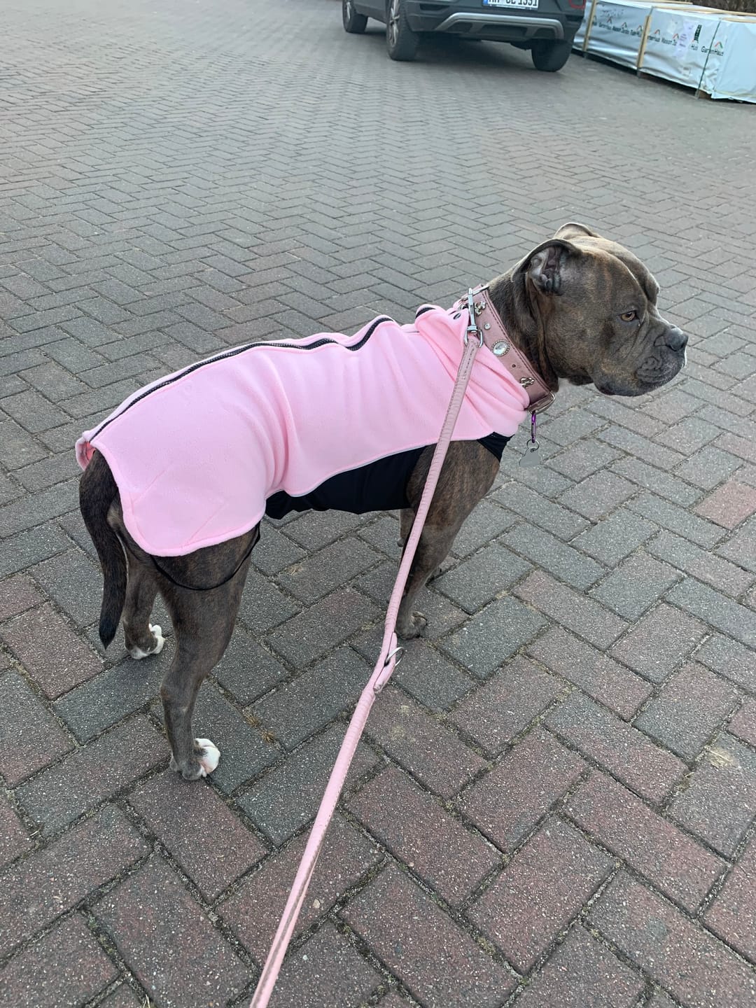 Customer photo review of Dog Fleece With Zip - Pink