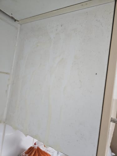 Rachel C. review of Genie grease be gone PRE ORDER DELIVERY 24TH February image 1 out of 2