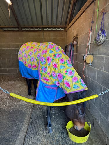 Customer photo review of Country Garden Stable Rug