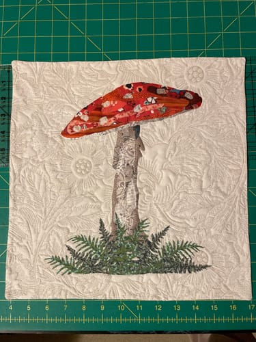 Customer photo review of Mushroom Complete Kit