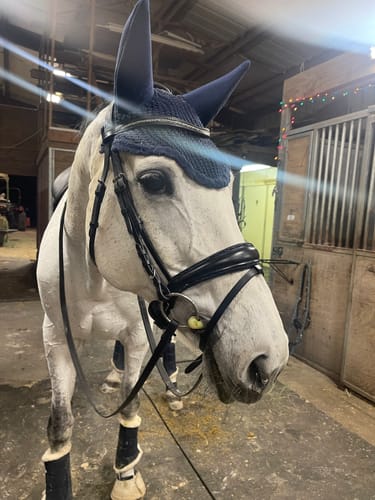 Customer photo review of Trense Blue Diamond