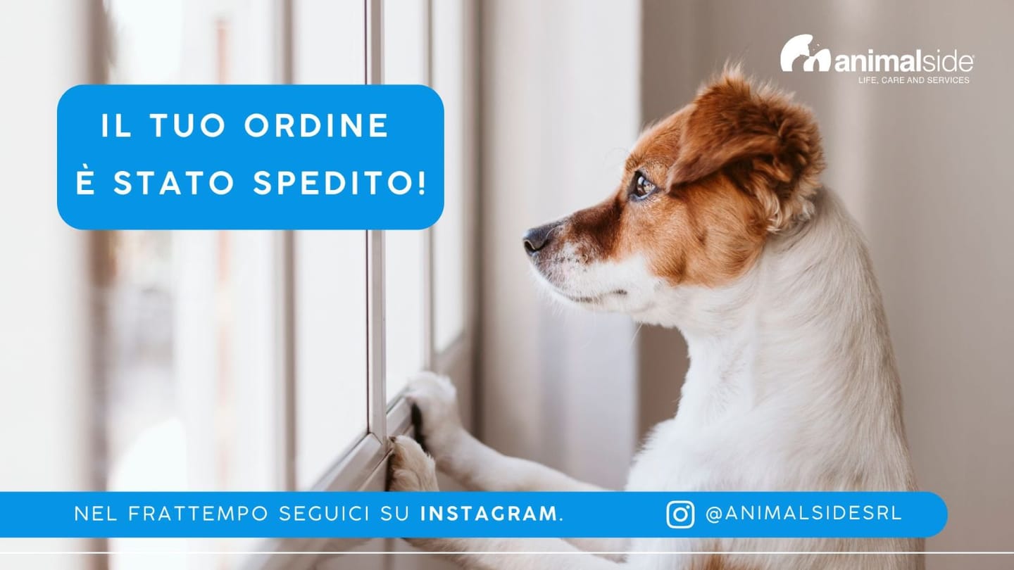 Customer photo review of Linea Grain Free - Agnello con Patate Dolci e Menta - Cane Adulto