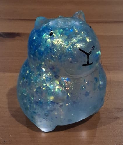 Customer photo review of Jelly Capybara Sensory Squishy Toy