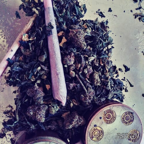 Customer photo review of Exotic Shake