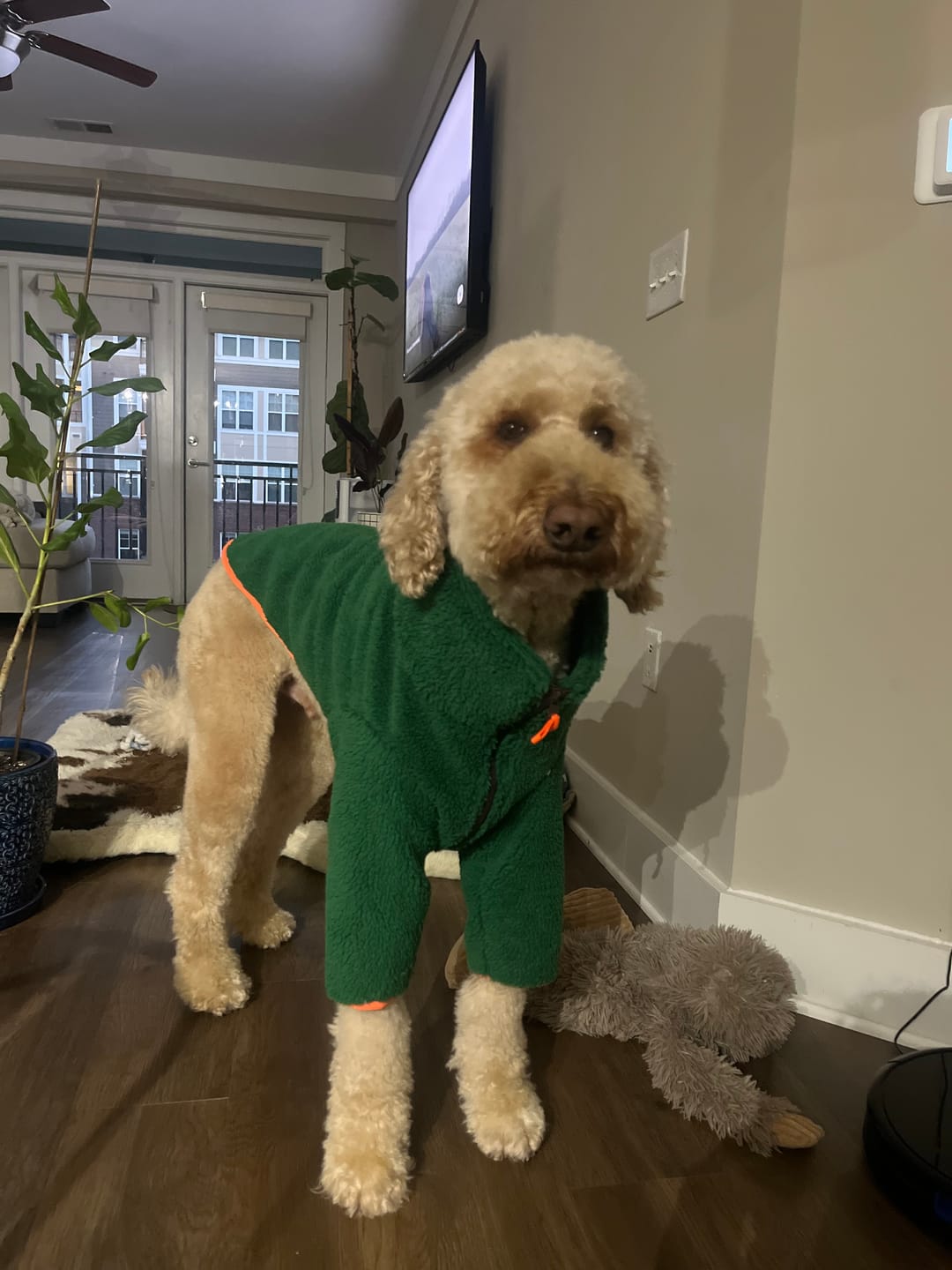 Customer photo review of Monkey Fleece Jacket