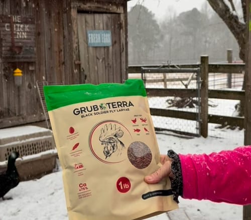 Customer photo review of GrubTerra Dried Larvae Sample