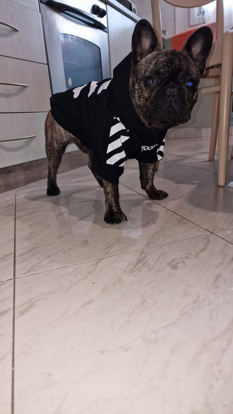 Customer photo review of Felpa "woof" Nera Personalizzabile con nome