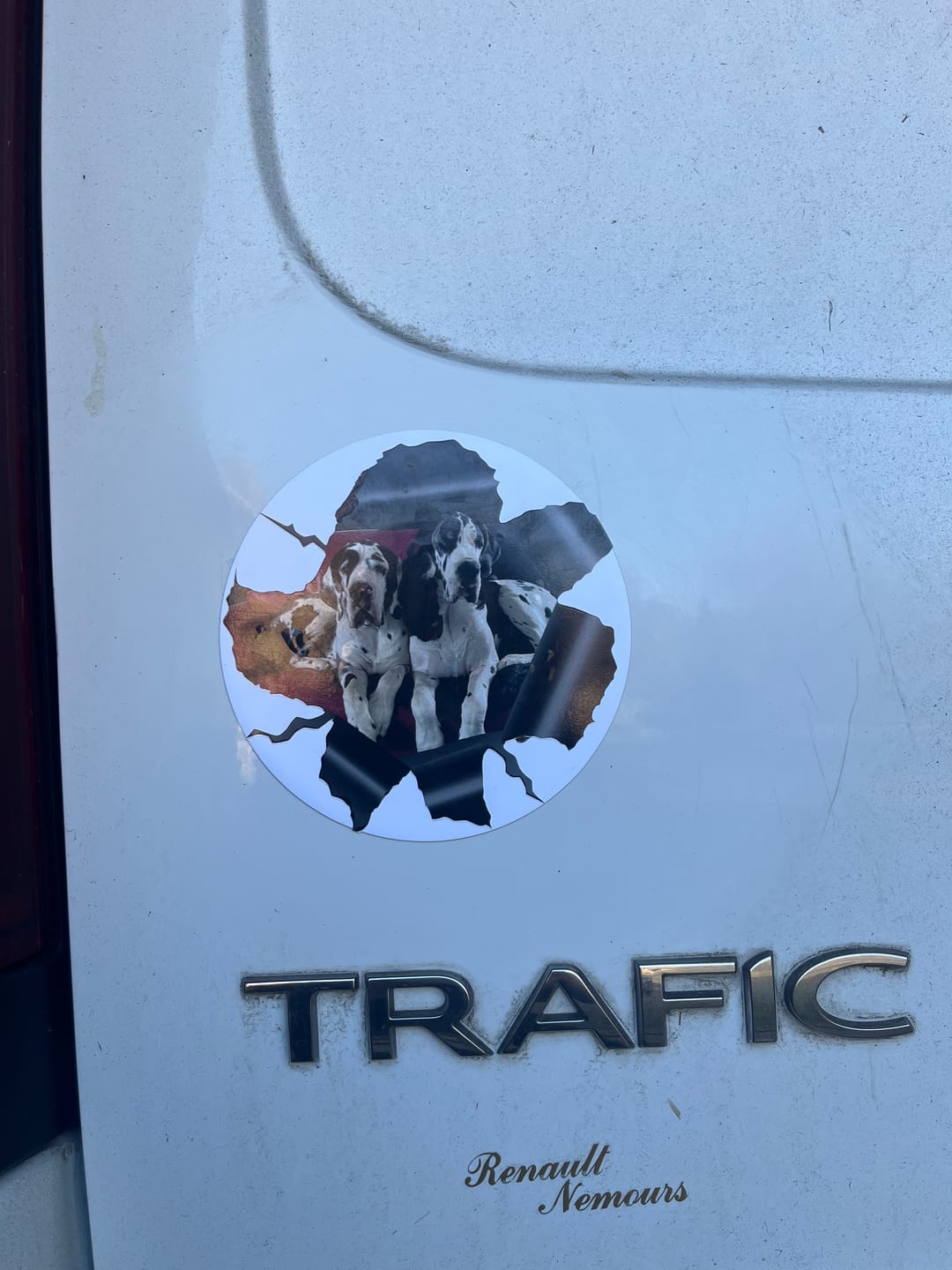 Customer photo review of Photo animal curieux - Autocollant pour voiture personnalisé