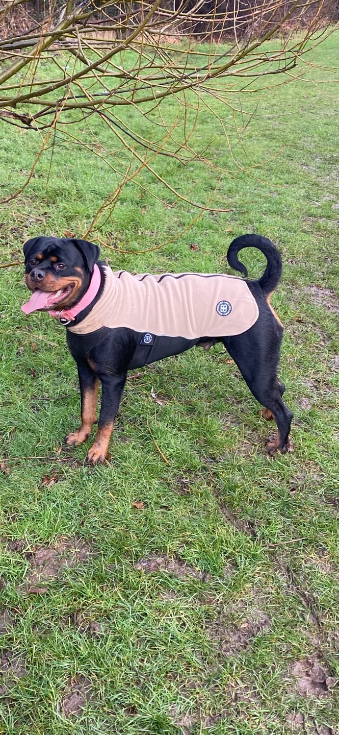 Customer photo review of 5cm Pin Buckle Collar | NO Handle - Pink