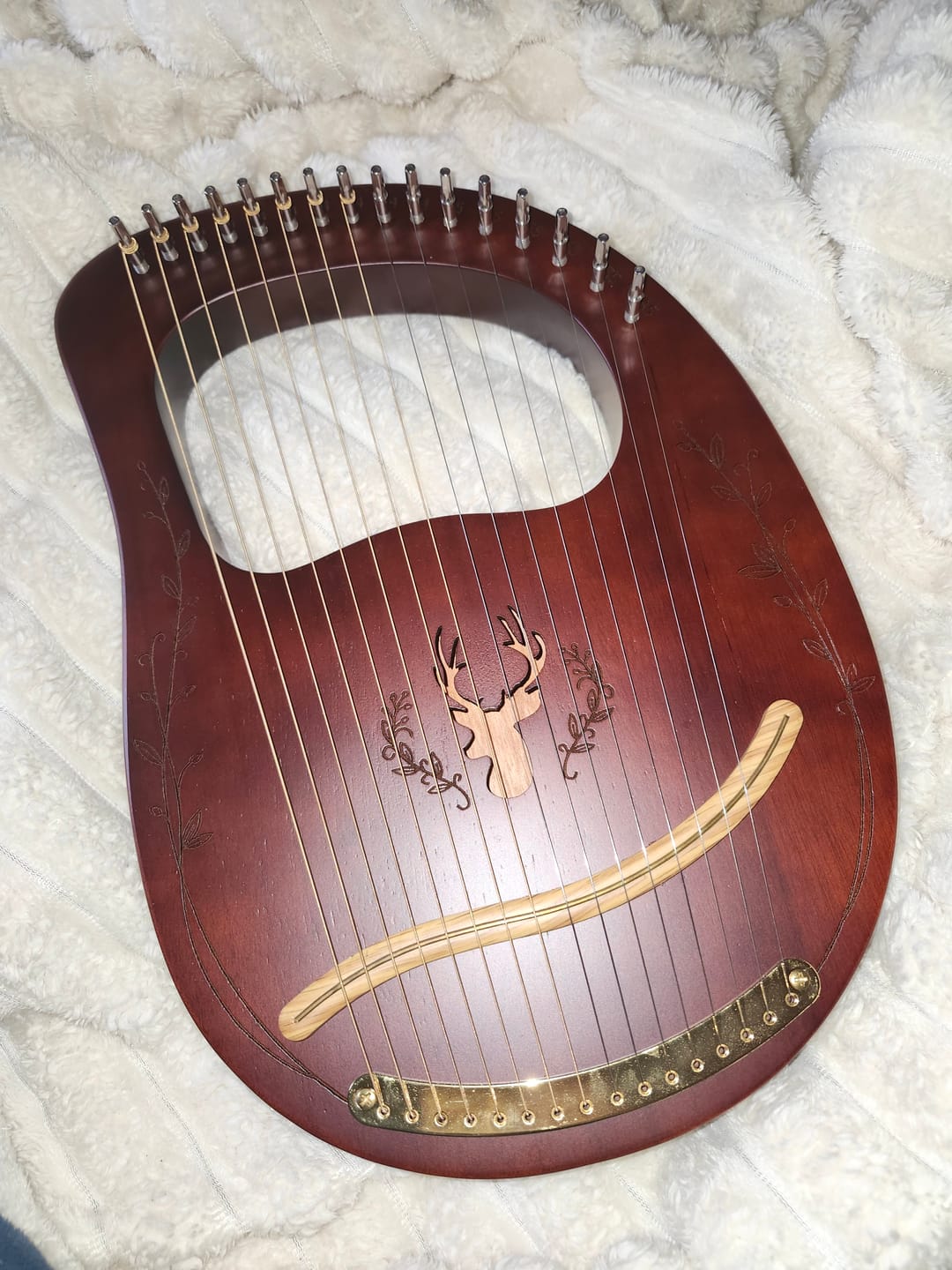Customer photo review of Lyre Harp 16 String CEGA Reindeer Mahogany w/Bag