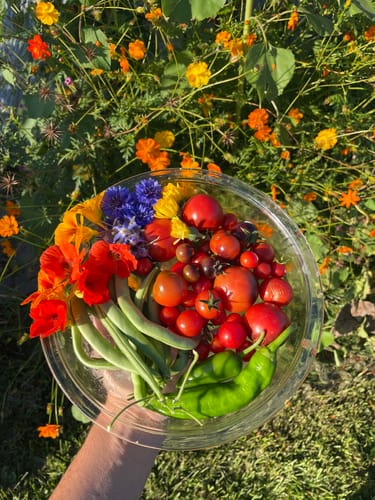 Customer photo review of Lettuce Mix