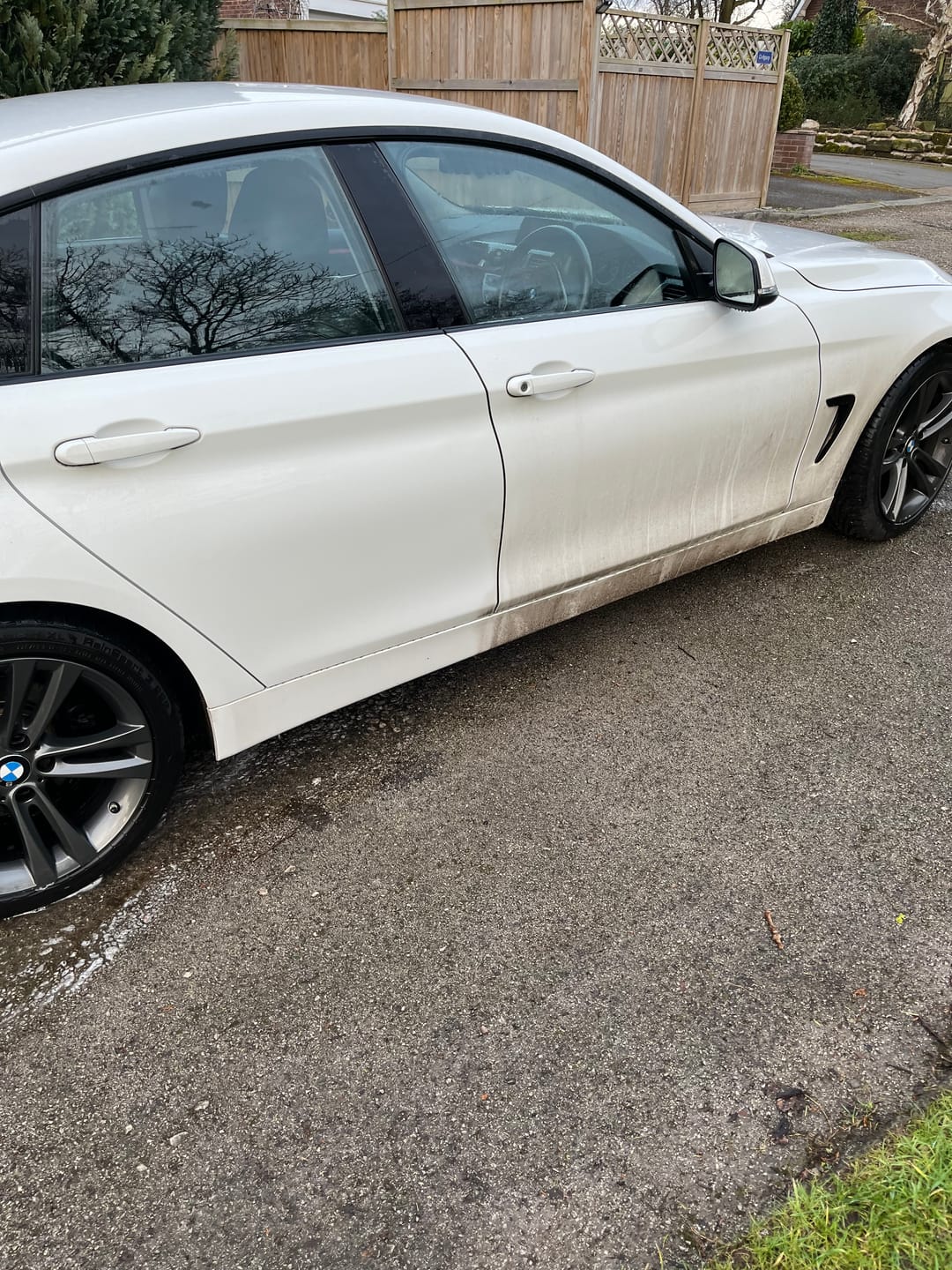 Customer photo review of Citrus Wash - All Purpose Cleaner & Pre Wash