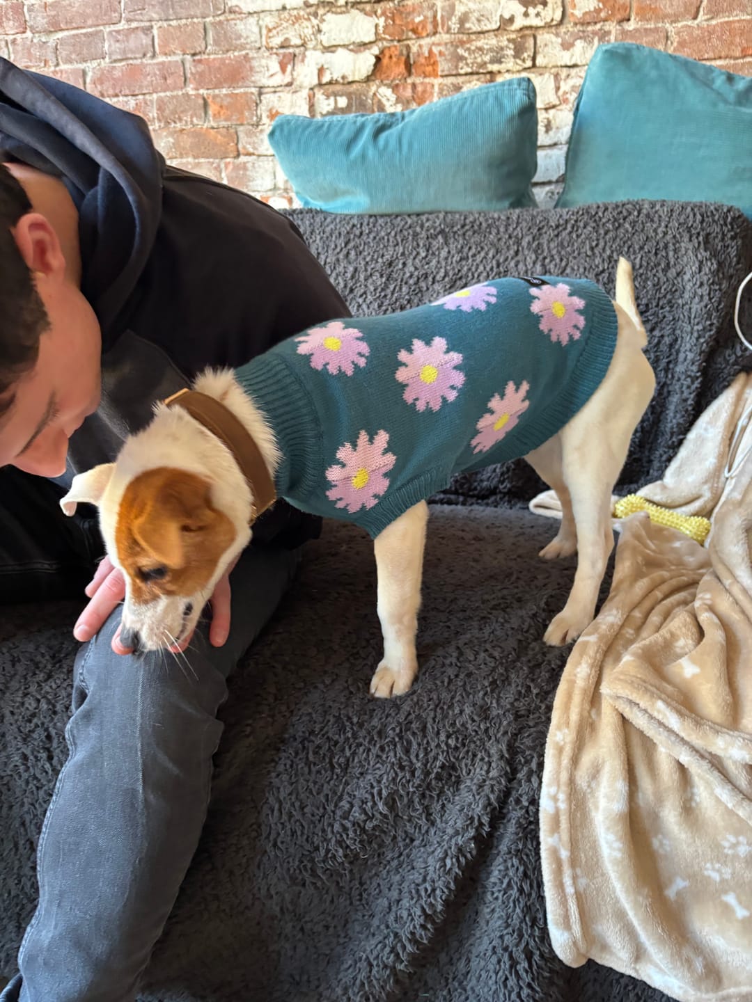 Customer photo review of Flower Knit Dog Sweater