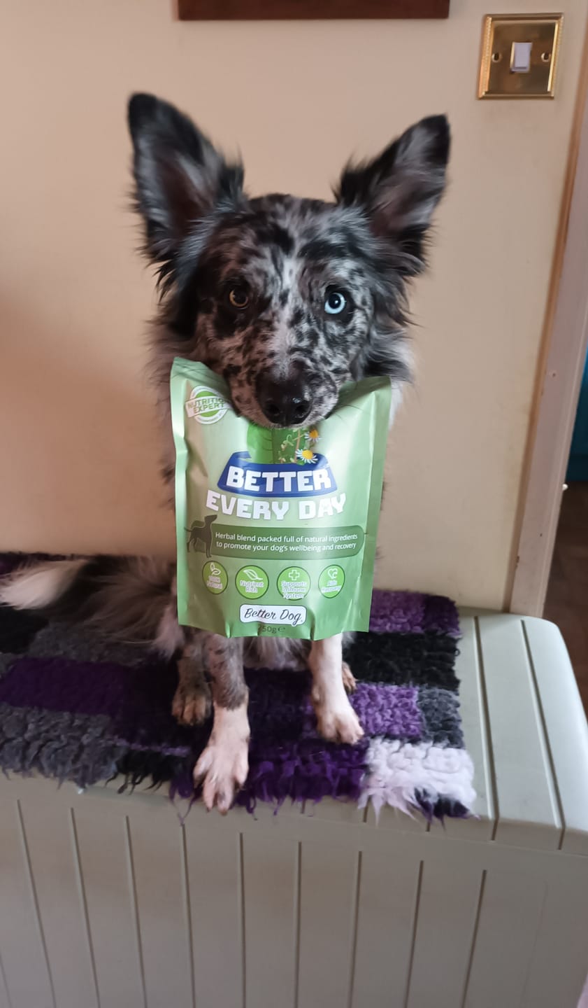 Customer photo review of Better Every Day
