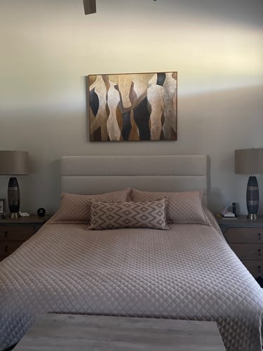 Customer photo review of Abstract Canvas Art #AB526