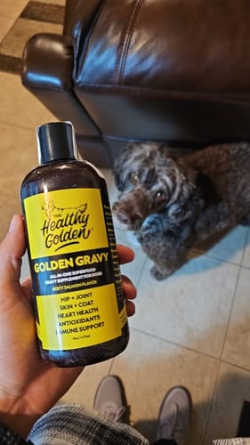 Customer photo review of Golden Gravy