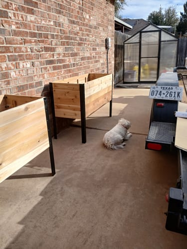 Customer photo review of 18" x 48" Raised Garden Bed