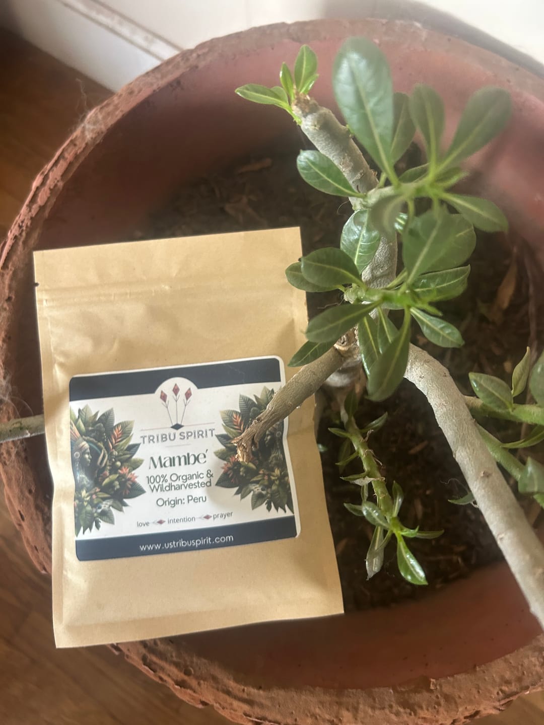 Customer photo review of Mambe'