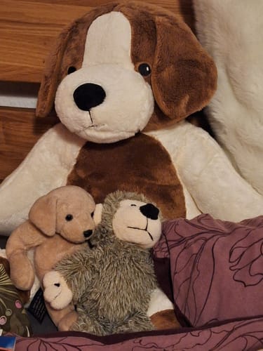 Customer photo review of Lotgenootje Hond 2kg