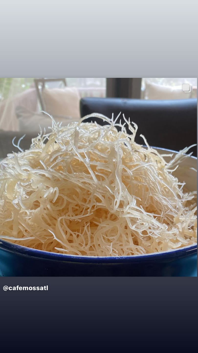 Customer photo review of $20 sea moss!!! Sea Moss from the rocks- Gold- Dr Sebi approved