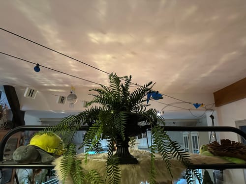 Customer photo review of Palm Kunst Hangplant 110cm