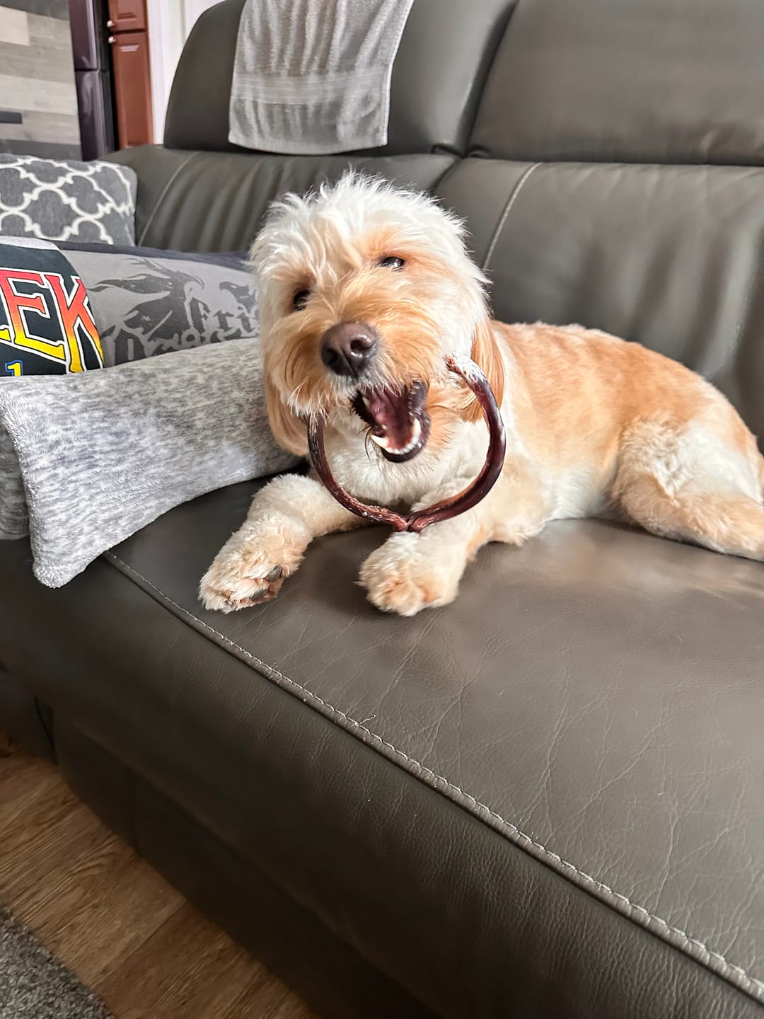 Customer photo review of Large Bully Stick Ring