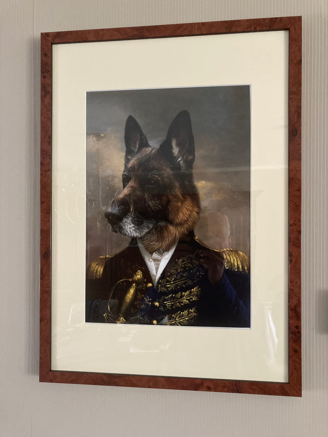 Customer photo review of The General: Custom Pet Portrait