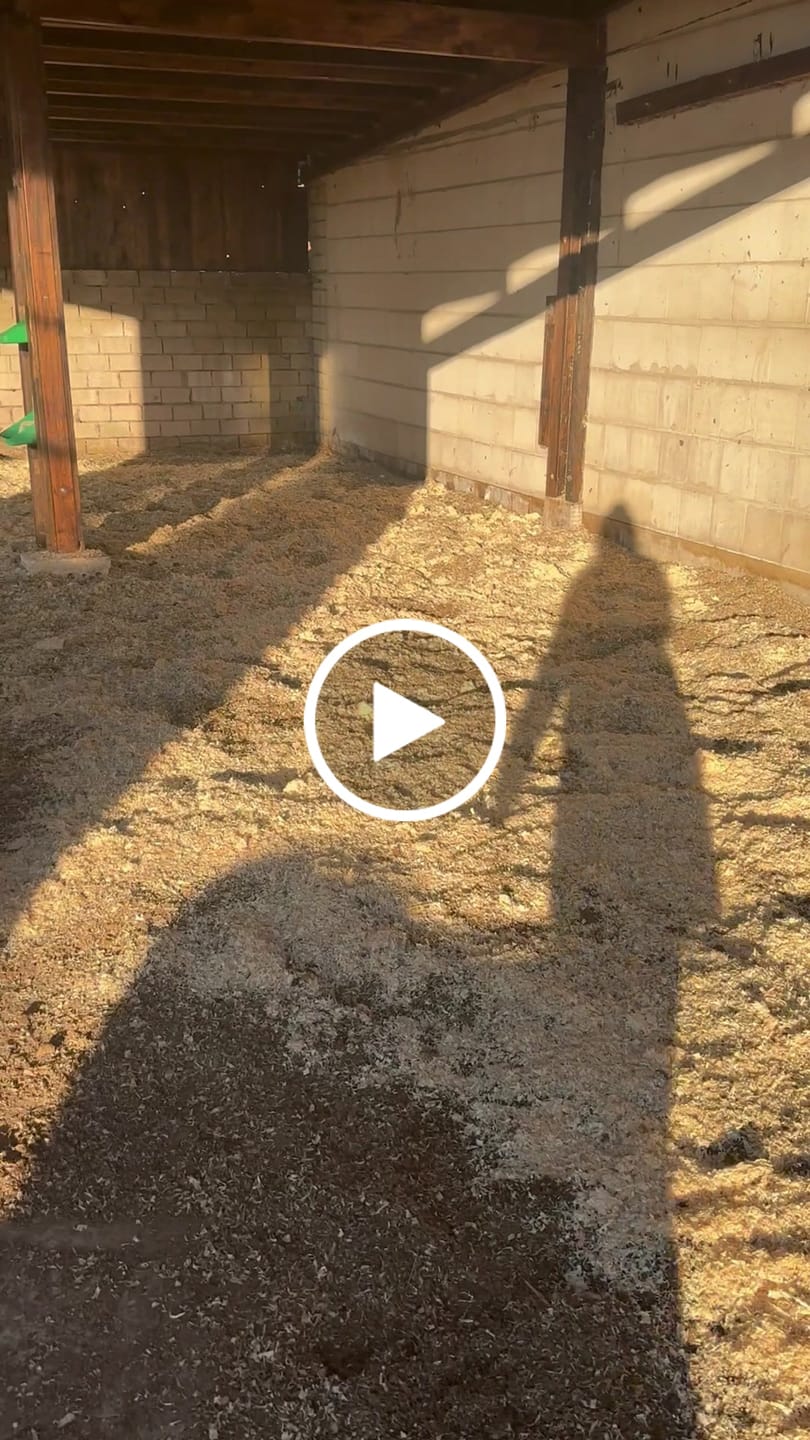 Customer video review of Allspan German Horse Einstreu Super - Weichholzgranulat