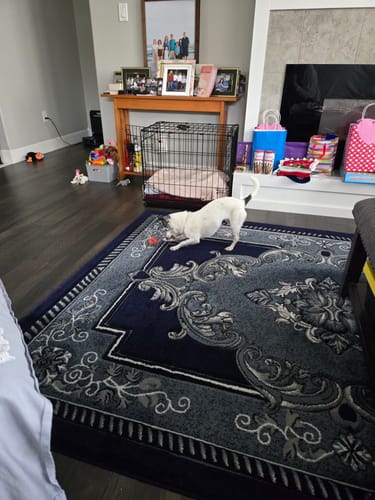 Kenneth L. review of PRIORITY PROCESSING image 1 out of 2