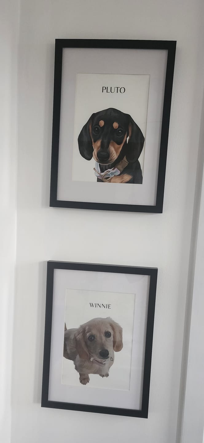 Customer photo review of One-Pet Portrait