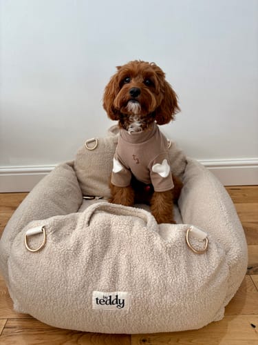 Customer photo review of Hazelnut | The Cosy Car Seat