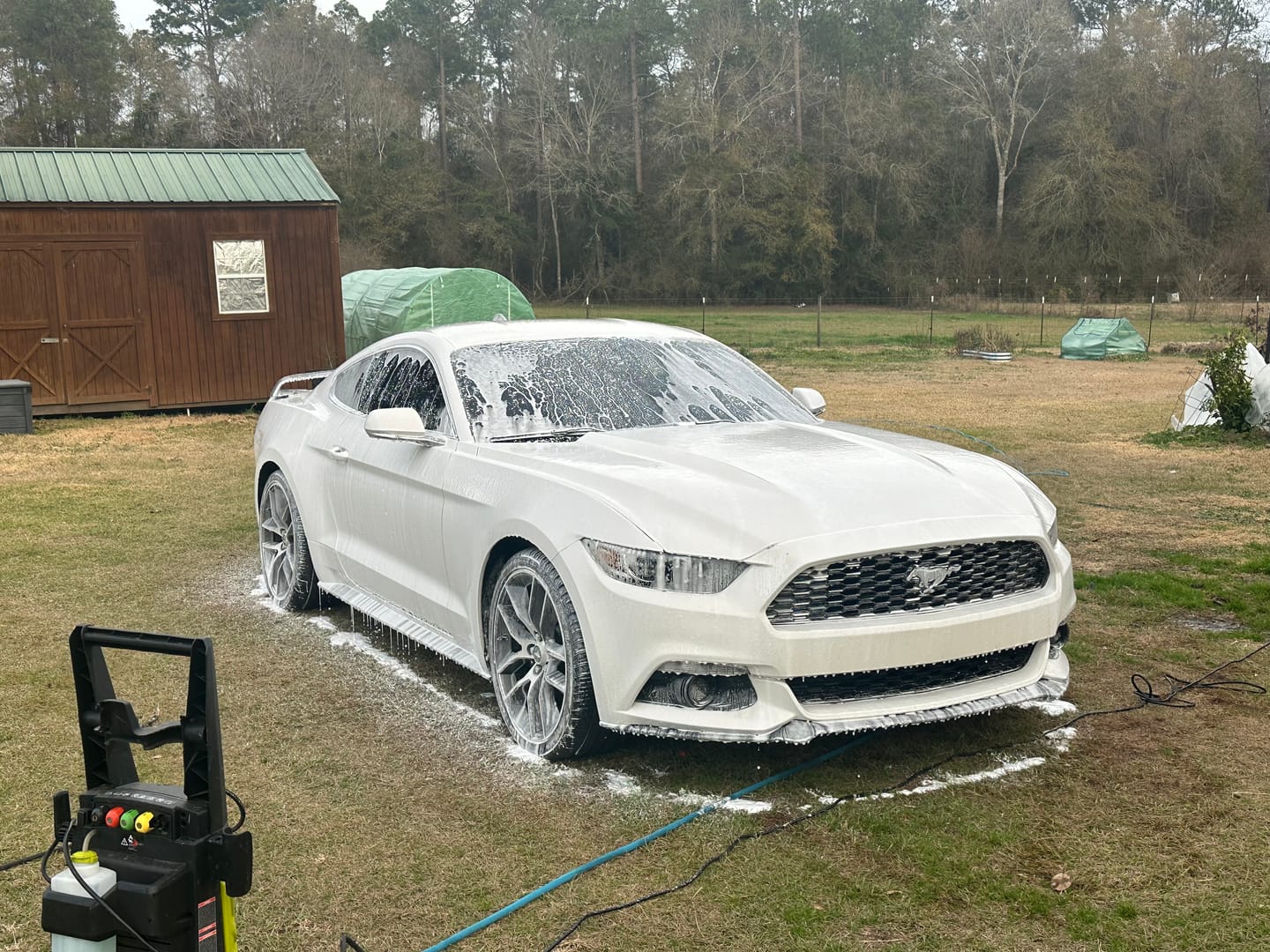 Customer photo review of BLACKLINE® ULTRA FOAM
