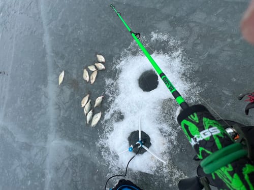 Customer photo review of Pre-Built Power Noodle