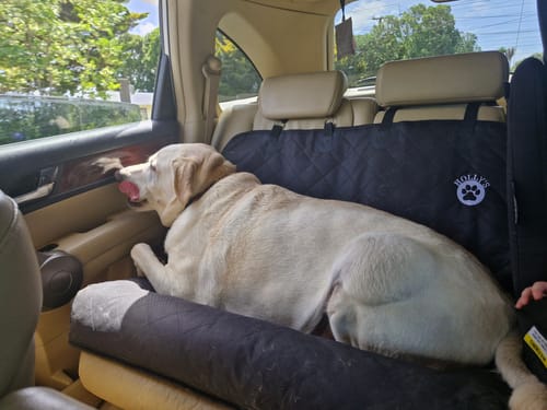 Customer photo review of Car Seat Cover