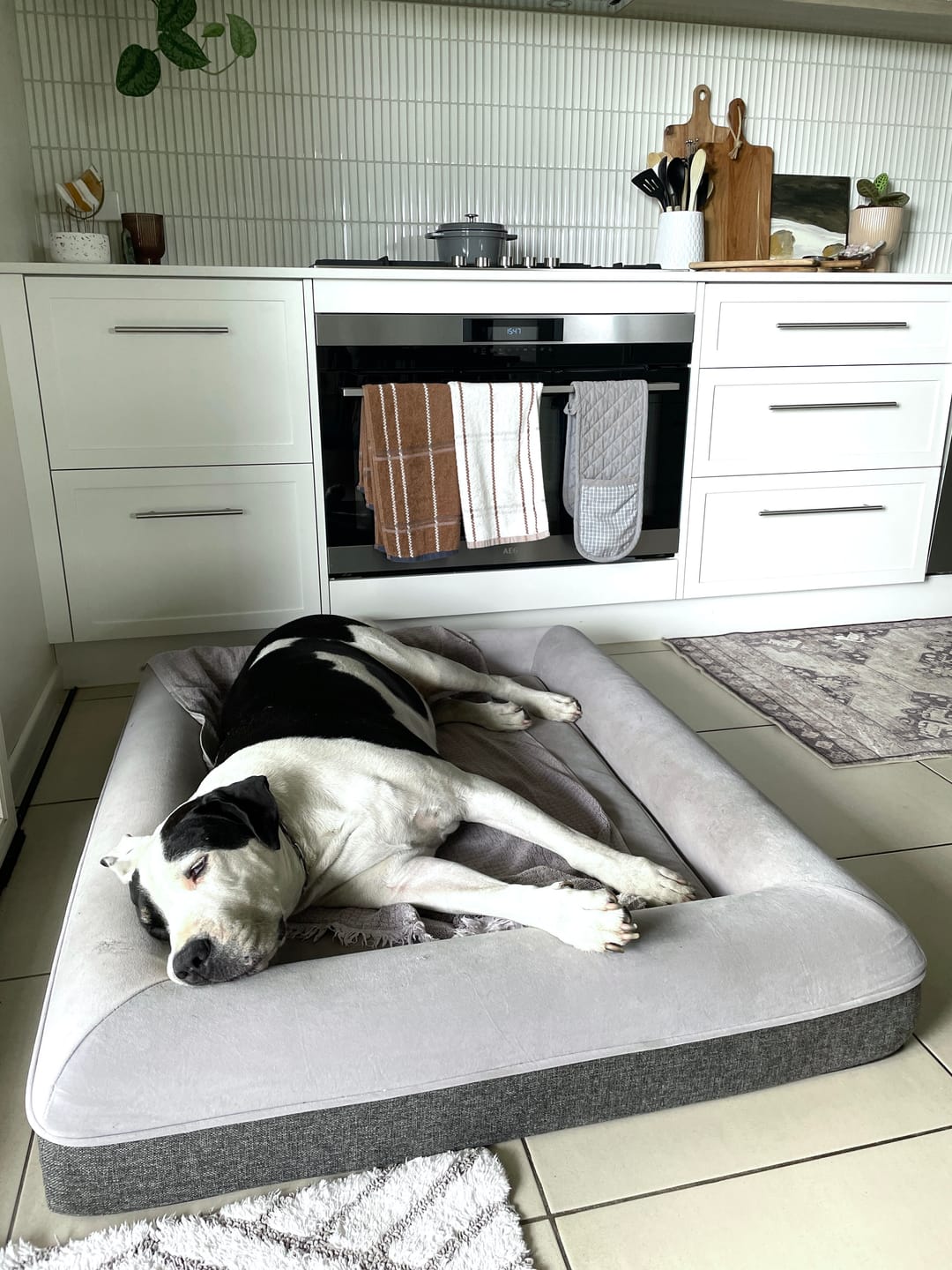 Customer photo review of Kangaroo Bed - Large