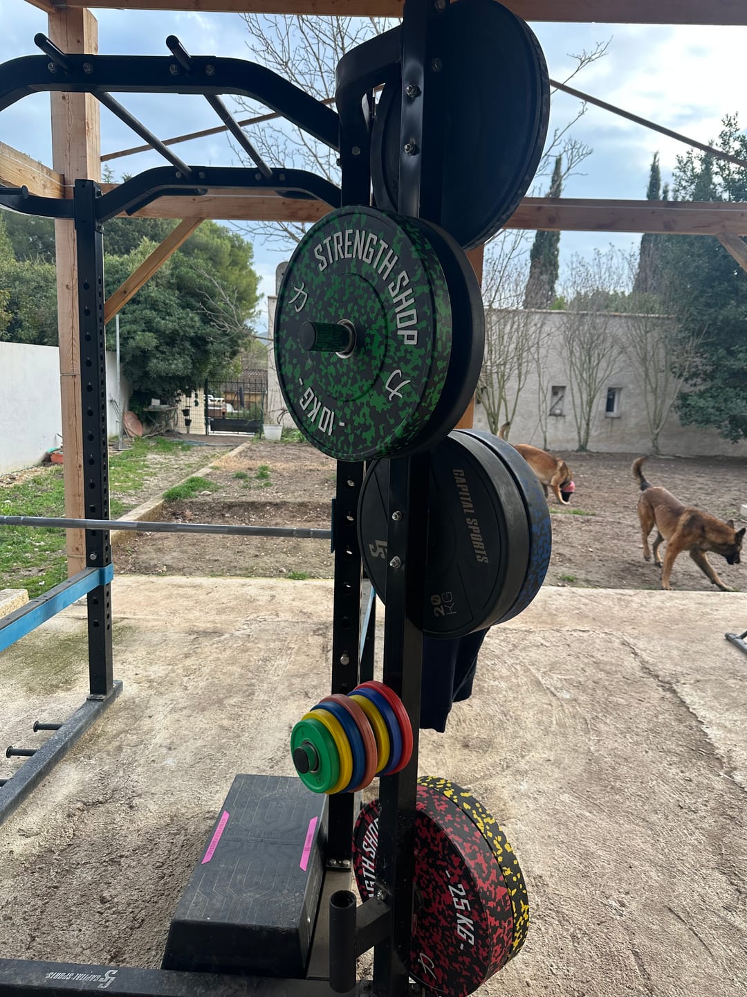 Customer photo review of Fleck Rubber Bumper Plates – Colour Coded, 5kg-25kg or 150kg Set