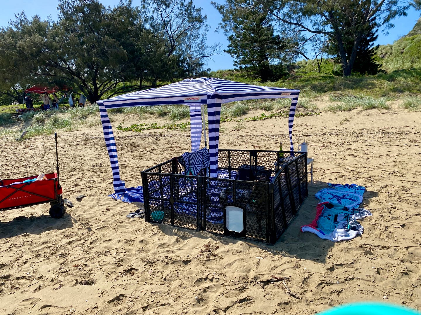 Customer photo review of PaWz Pet Foldable Portable Playpen Garden Outdoor