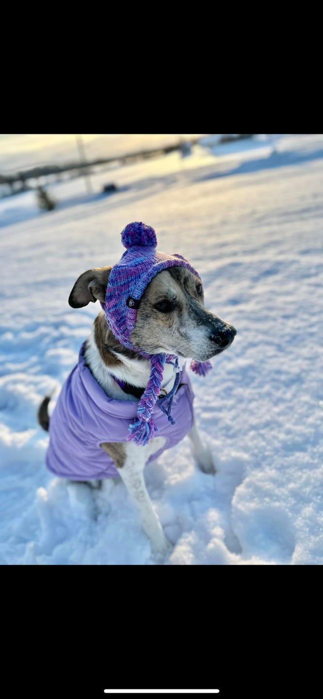 Customer photo review of Human Pompom Hat - Purple & Lavender
