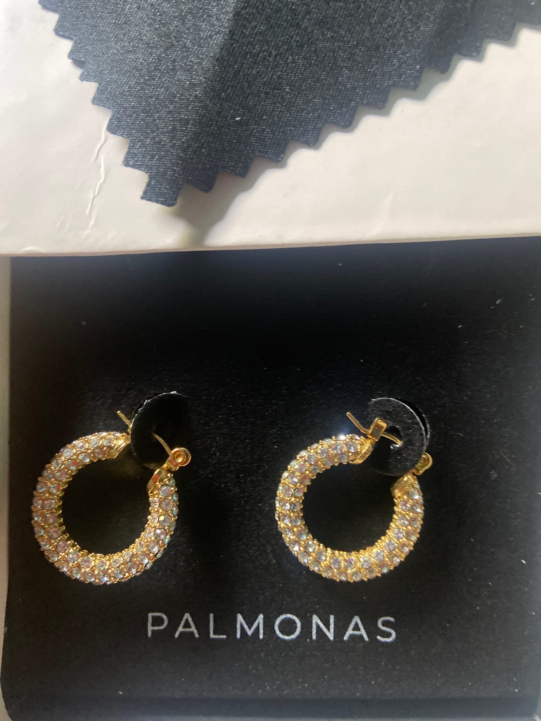 Customer photo review of Diamond Studded Hoop Earrings