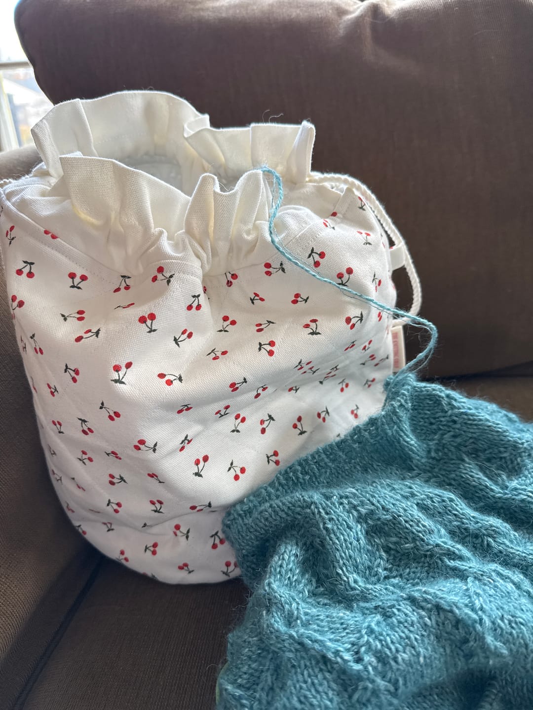 Customer photo review of Cherries Large Project Bag