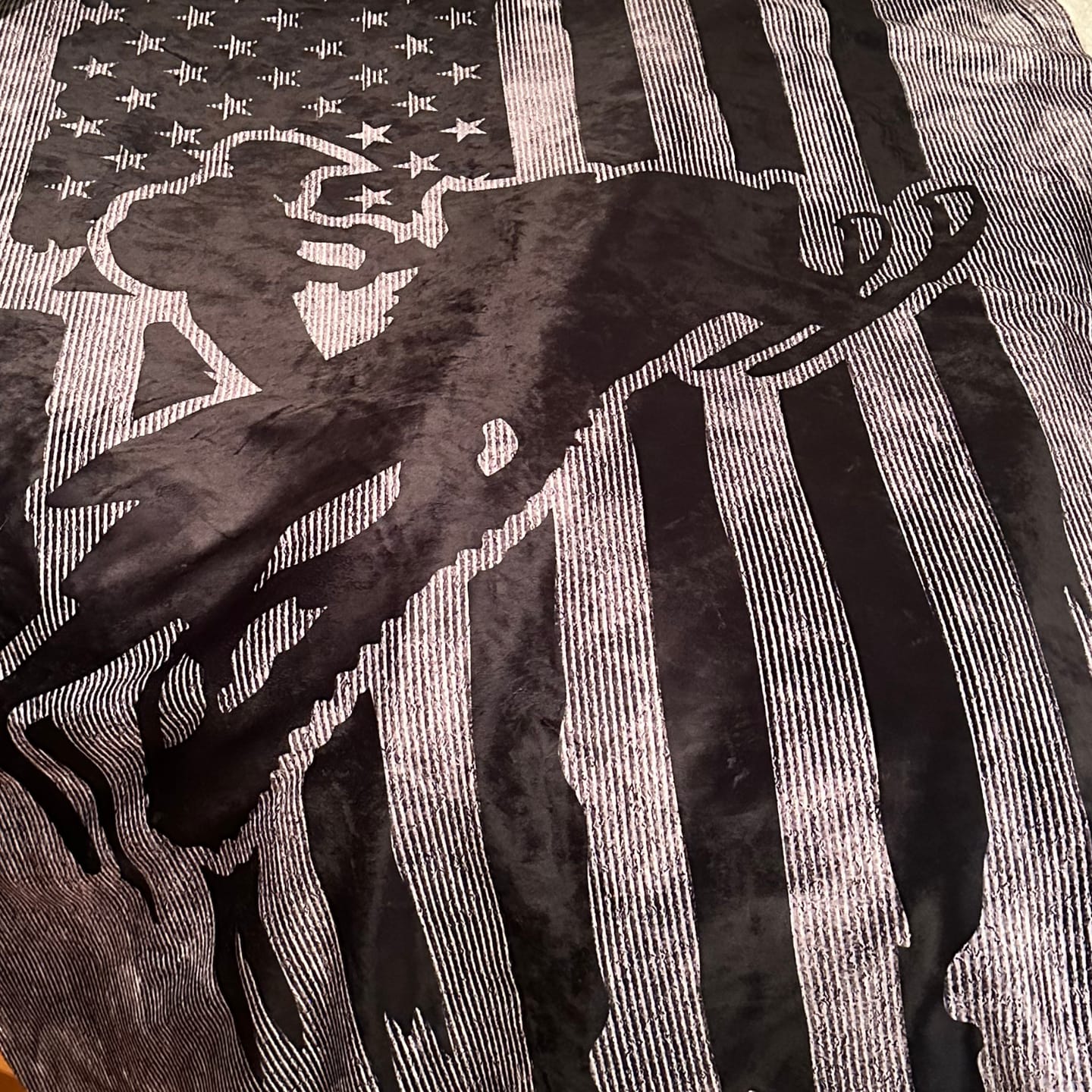 Customer photo review of Snowmobile America Blanket