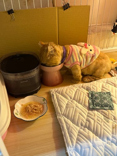 undefined review of 霍曼寵物雙無線飲水機(黑白雙色) image 2 out of 3