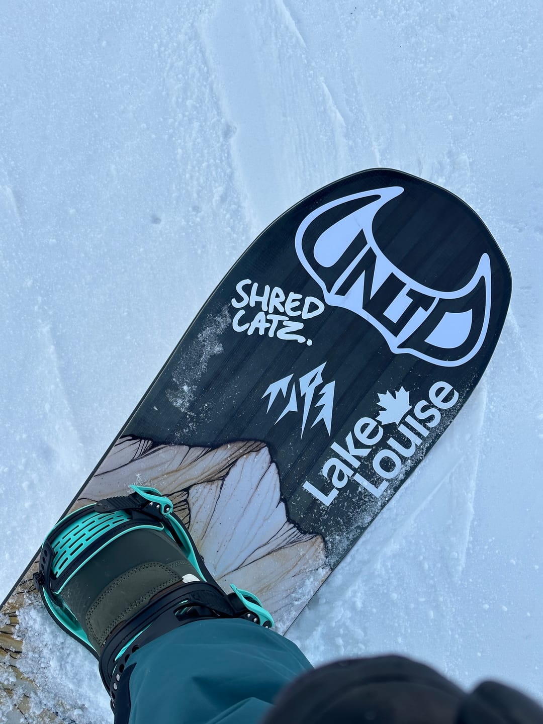 Customer photo review of Women's Dream Weaver Snowboard