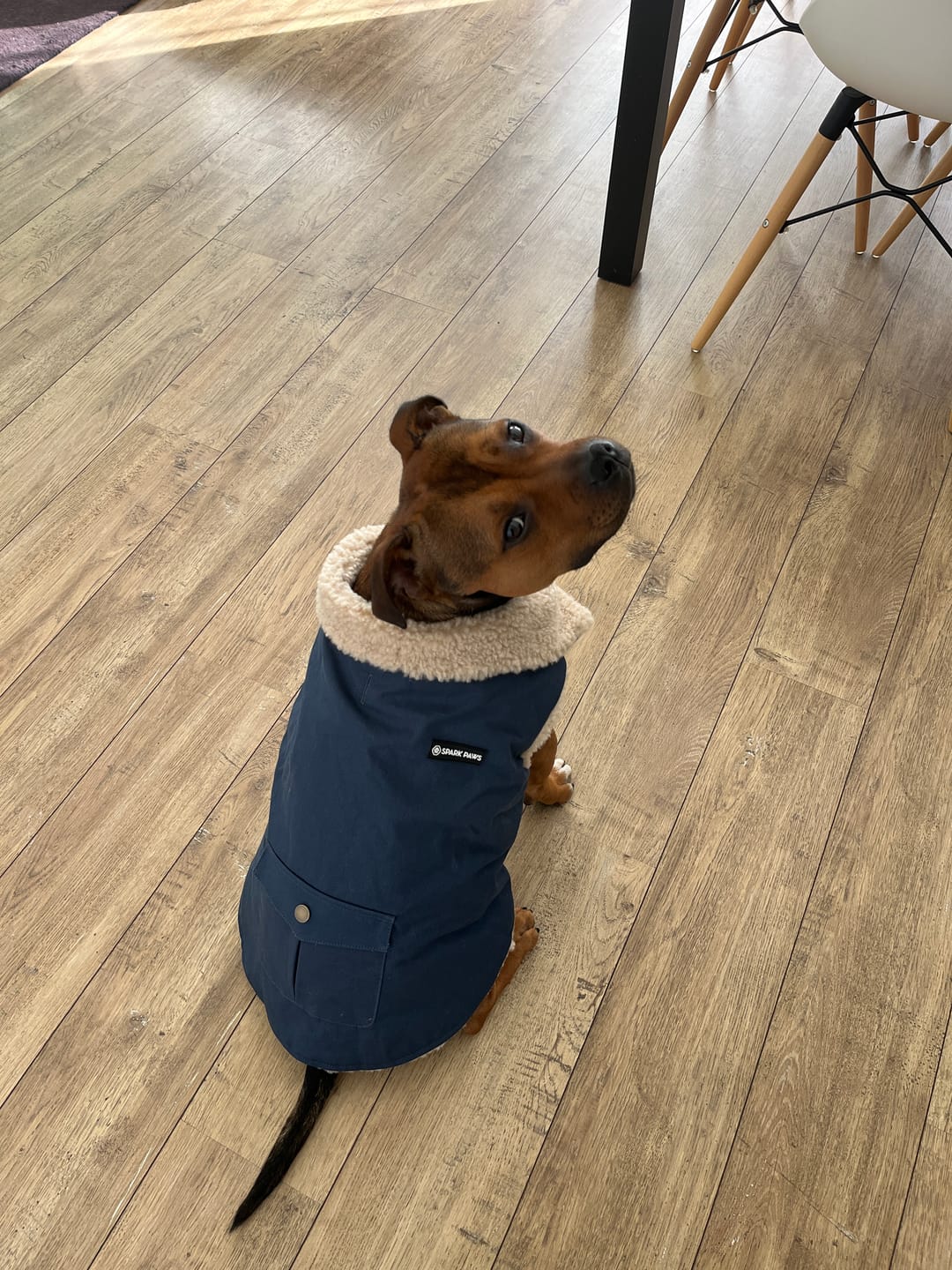Customer photo review of Workdog Insulated Utility Jacket - Navy